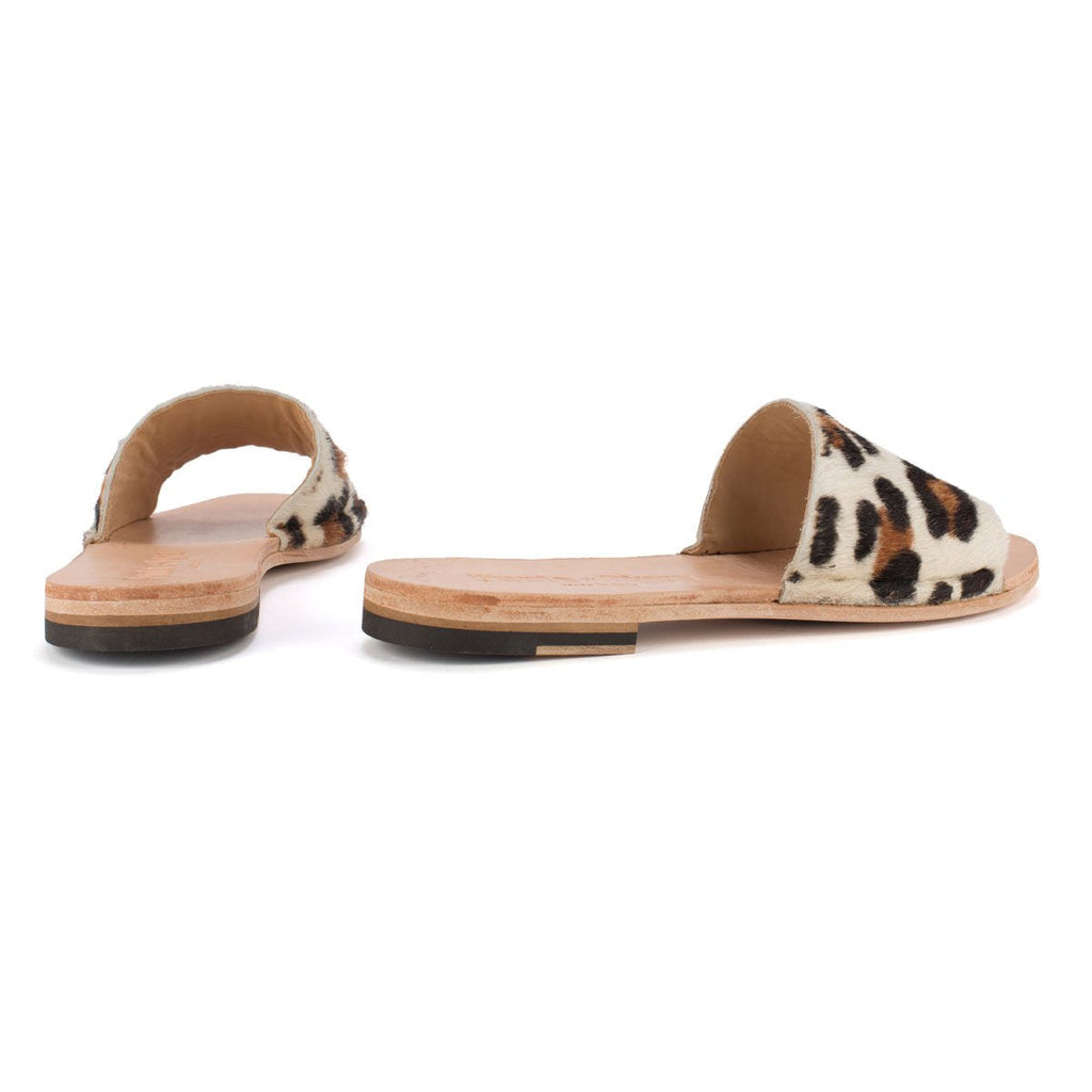 SAN 10 – Wild Pony