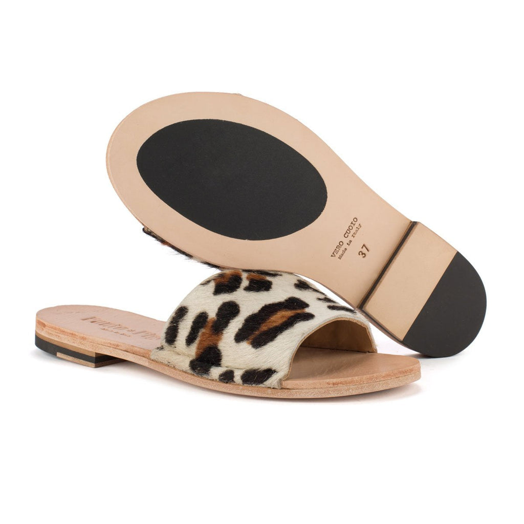 SAN 10 – Wild Pony