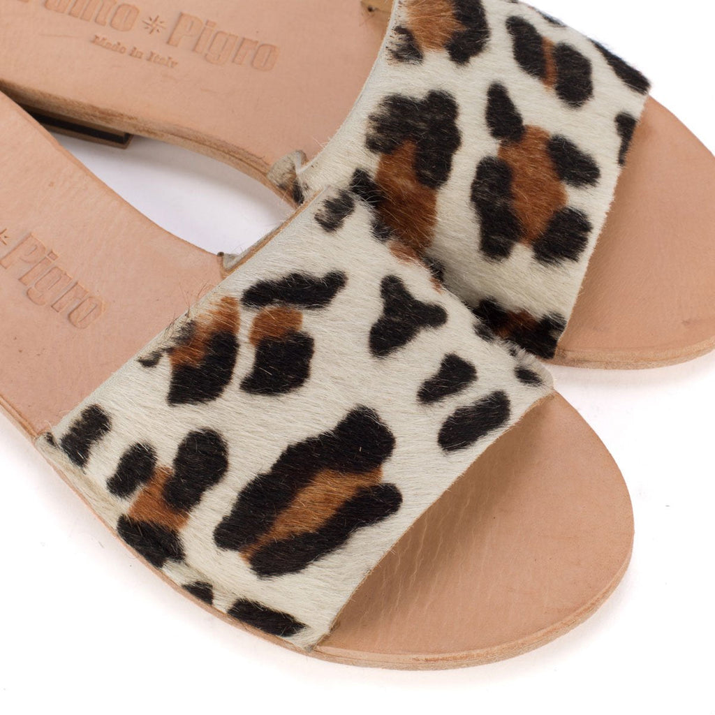 SAN 10 – Wild Pony